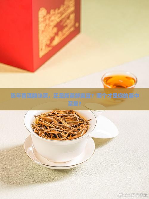 普洱茶年份久的好还是新的好