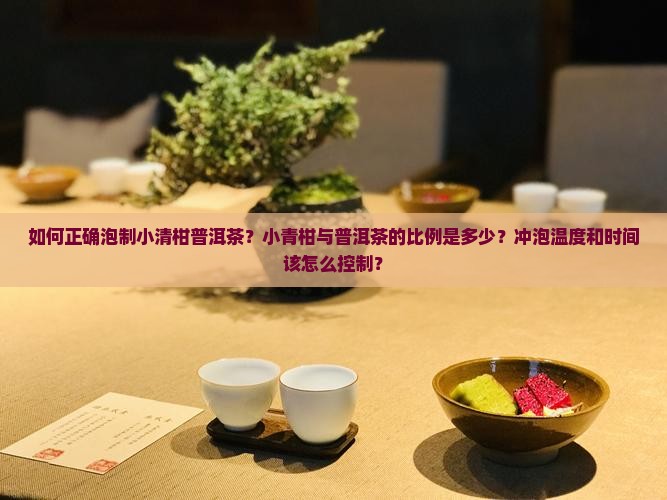小清柑普洱茶的泡法