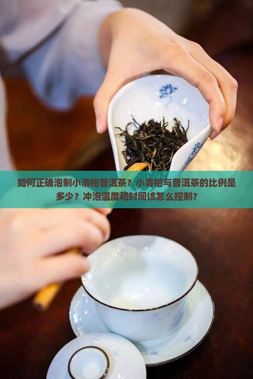 小清柑普洱茶的泡法