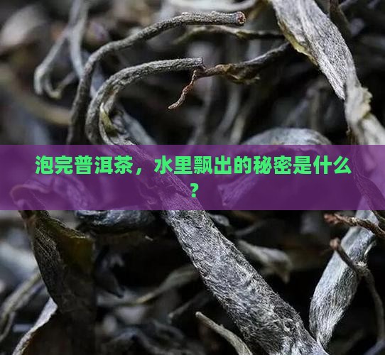 普洱茶泡完水里有东西 普洱茶泡完水里有东西