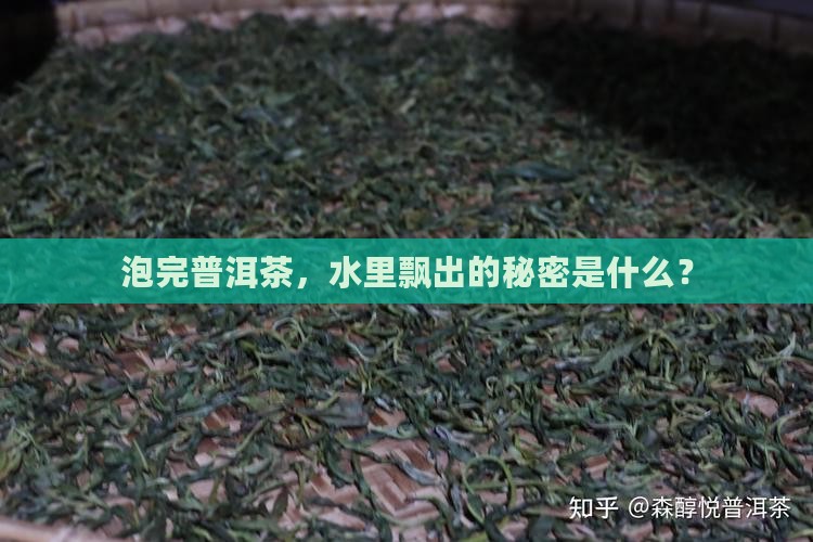 普洱茶泡完水里有东西 普洱茶泡完水里有东西