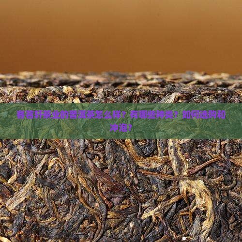 客茗轩茶业普洱茶