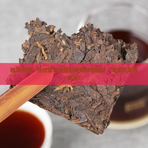昔归普洱茶生茶独树