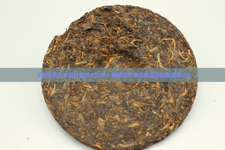 普洱茶历史百科知识点归纳