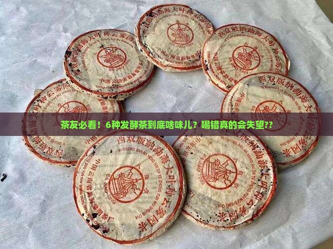 每种茶叶的味道发酵的茶叶有几种