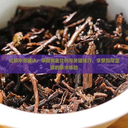 红茶的投茶量及比例