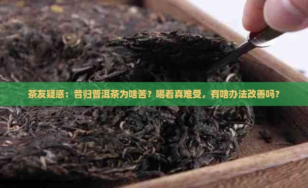 昔归普洱茶为啥苦