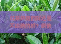 红茶烘焙的好还是不烘焙的好