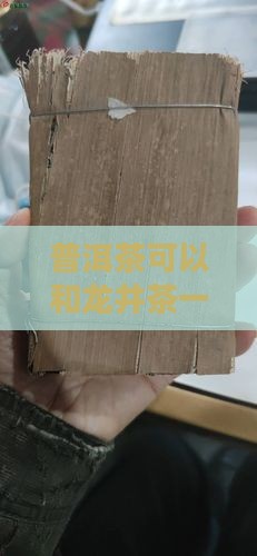 普洱茶可以喝龙井
