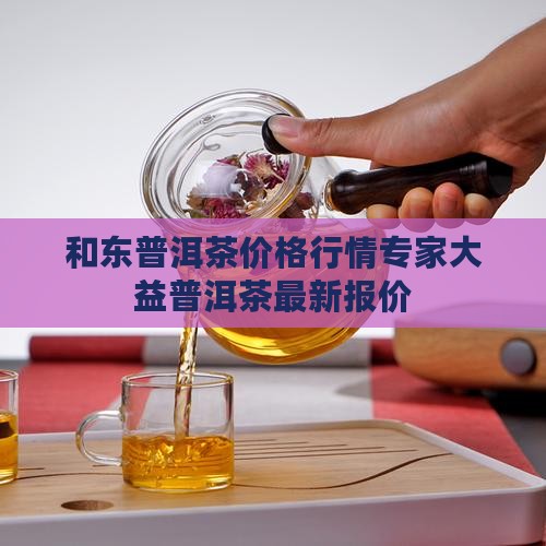 和东普洱茶价格