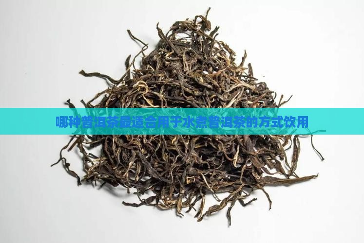 哪种普洱茶适合水煮茶用