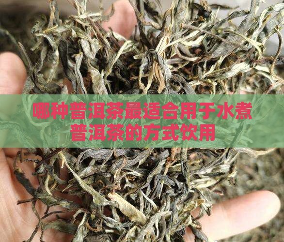 哪种普洱茶适合水煮茶用