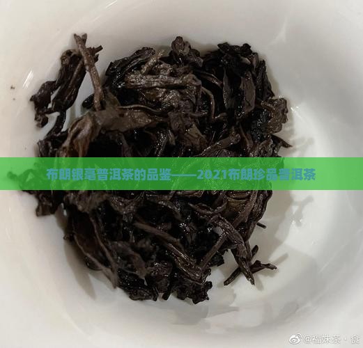 布朗银毫普洱茶的品鉴