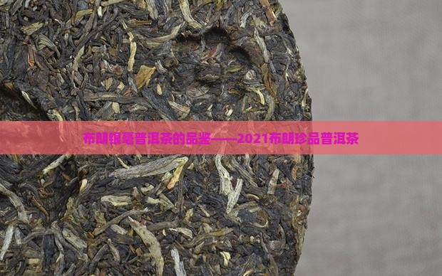 布朗银毫普洱茶的品鉴