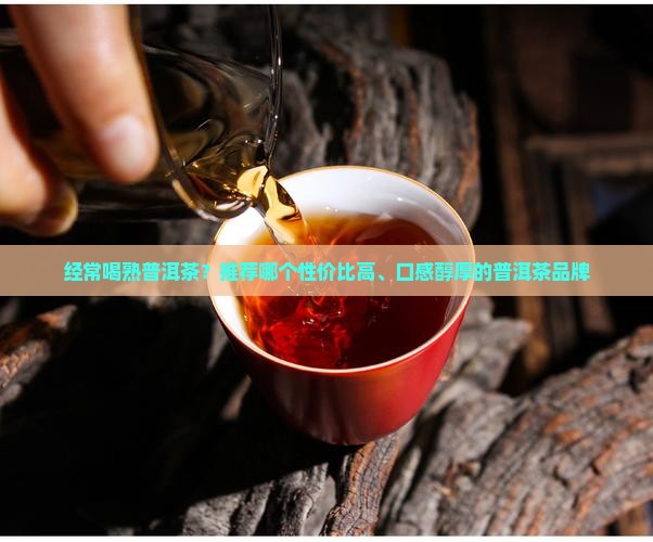 经常喝熟普洱茶推荐什么
