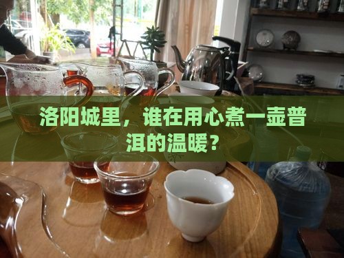 洛阳卖普洱茶的