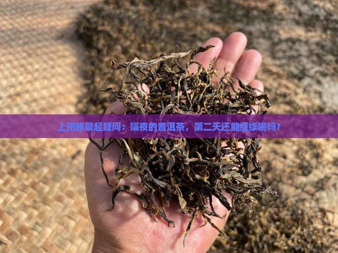 泡好的普洱茶隔夜喝吗
