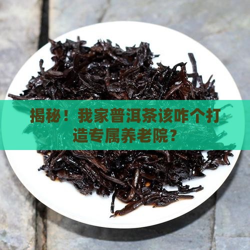 如何打造普洱茶仓区