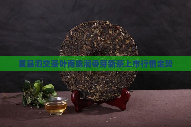 夏县泗交茶叶雨露