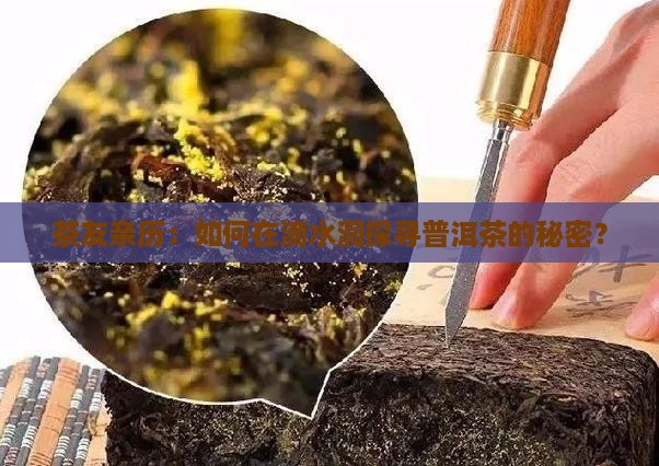 普洱茶的滴水洞