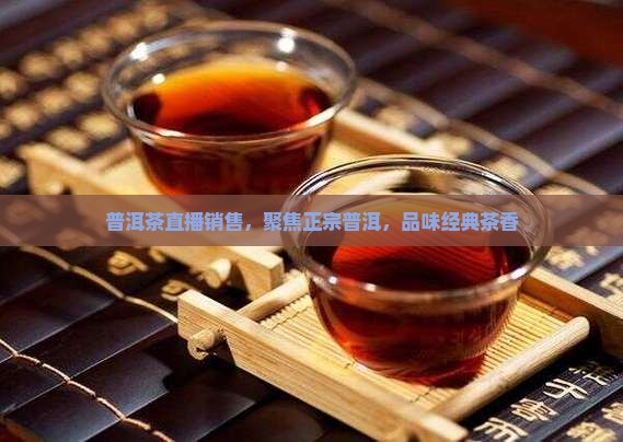 林诺阁普洱茶直播