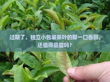 独立小包装的茶叶过期了还能喝吗