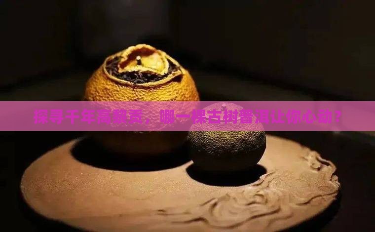 高黎贡古树普洱茶