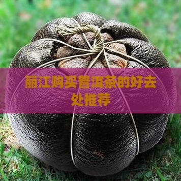 丽江想买普洱茶去哪里买