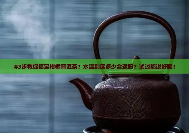 柑橘普洱茶的泡法水温