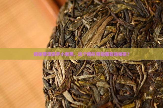 普洱茶小老黑团队 普洱茶小老黑团队