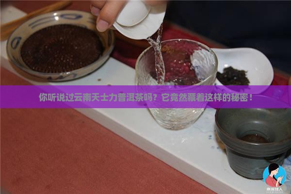 云南天士力普洱茶
