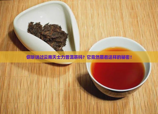 云南天士力普洱茶