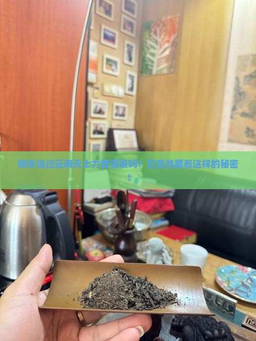云南天士力普洱茶