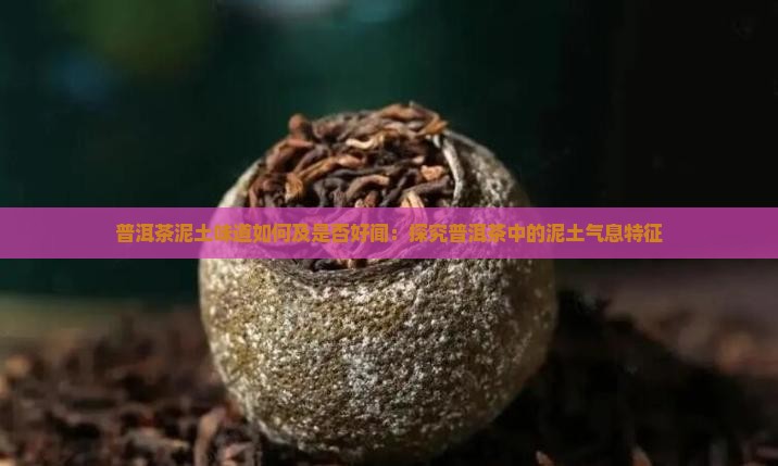 普洱茶泥土味道