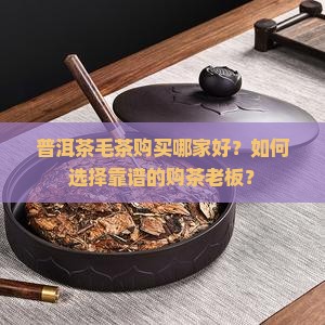 普洱茶毛茶购买购老板
