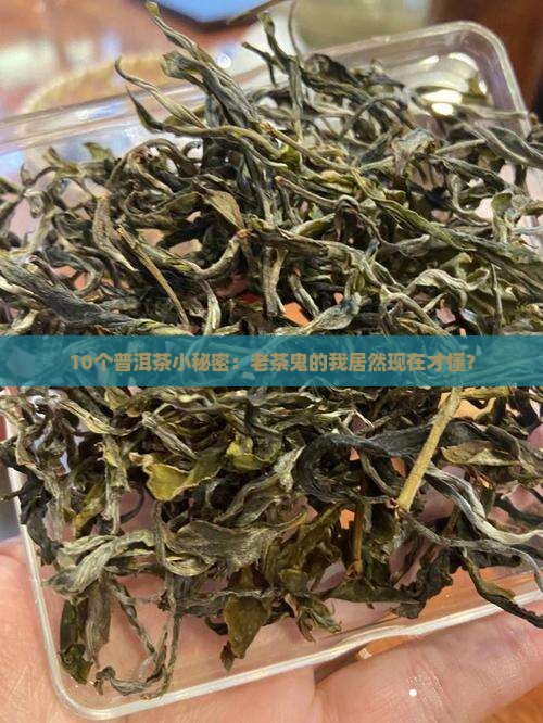 寻茶之路普洱茶