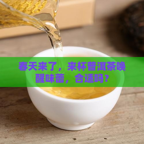 立春喝普洱茶可以吗