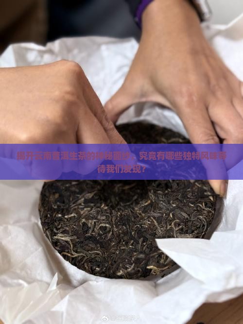 云南普洱茶的生茶有哪些