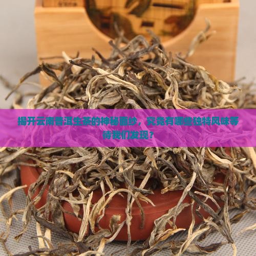 云南普洱茶的生茶有哪些