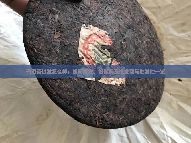 普洱茶批发怎么样
