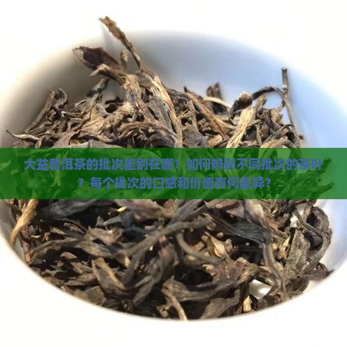 大益普洱茶批次差别在哪