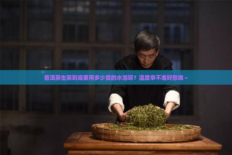 普洱茶生茶适合多少度水