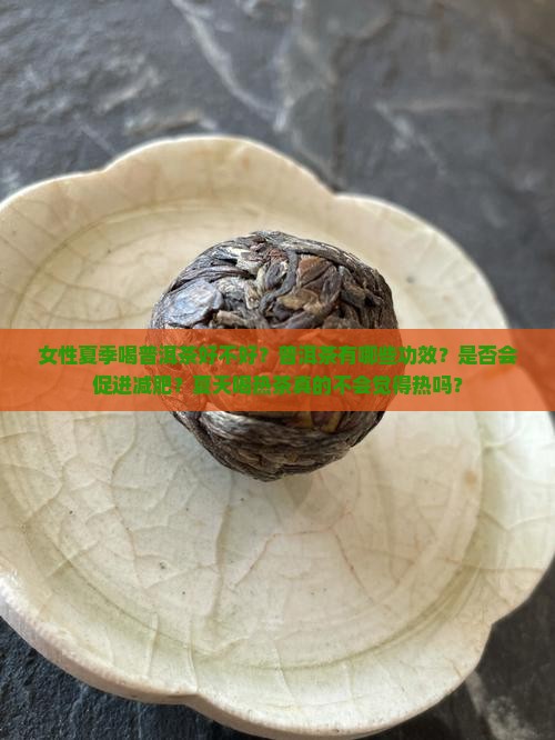 女性夏季喝普洱茶好不好