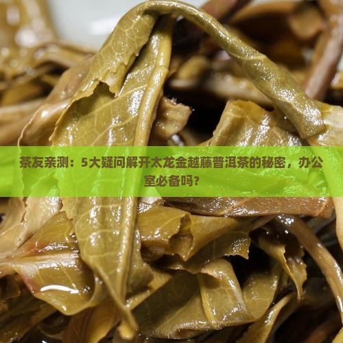 太龙金越藤普洱茶