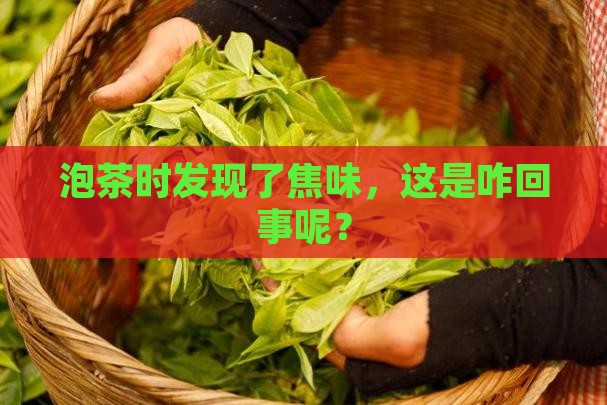 茶叶有焦味正常吗