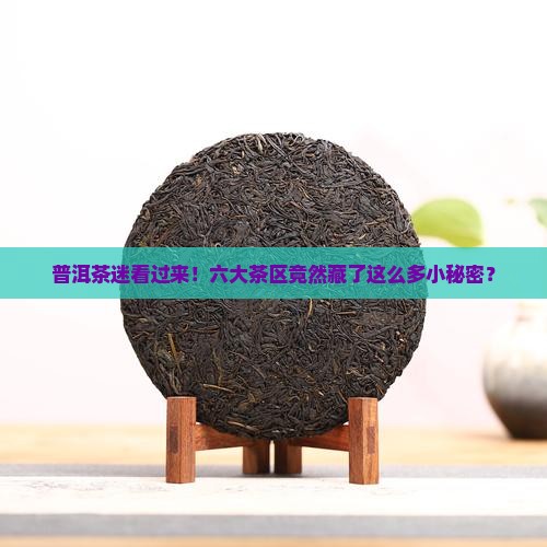 普洱茶的六大茶区