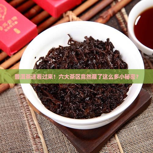 普洱茶的六大茶区