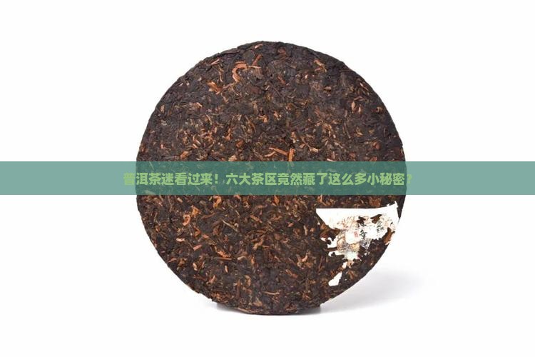 普洱茶的六大茶区