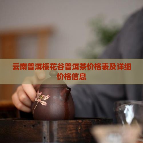 普洱茶樱花谷价格表