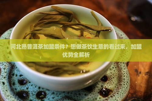 河北熟普洱茶加盟条件